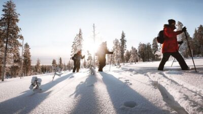 Rovaniemi: Lapland Ski Trekking Safari - The 4-hour flow: instruction, Taiga forest skiing, and a warm camp break