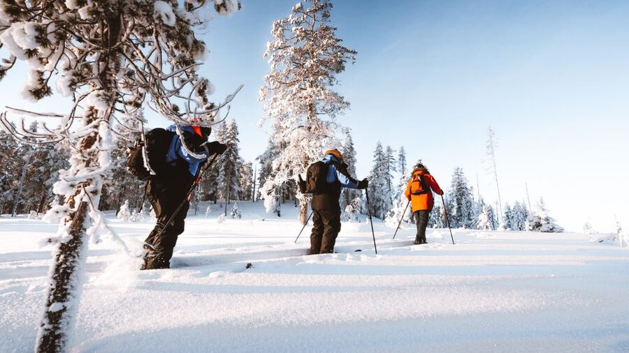 Rovaniemi: Lapland Ski Trekking Safari - The campfire snack stop: Finnish comfort in the middle of the workout