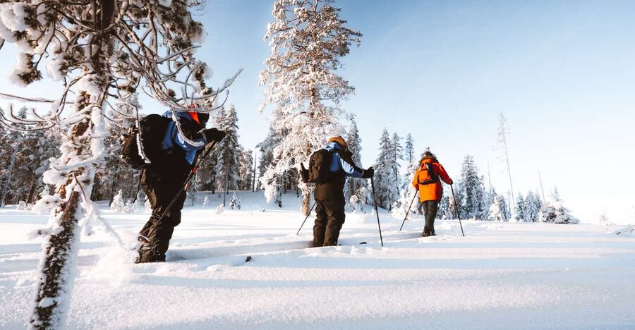 Rovaniemi: Lapland Ski Trekking Safari - Should you book the Lapland Ski Trekking Safari from Rovaniemi?