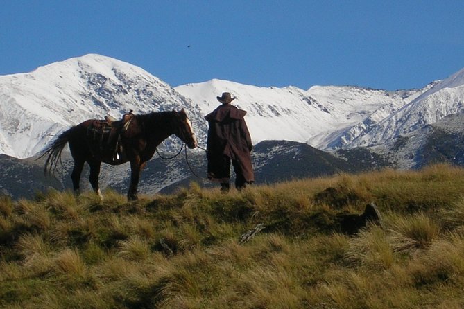 Rubicon Valley Horse Treks - 2 Hour River Trail Horse Trek - Key things that make this horse trek in Springfield special