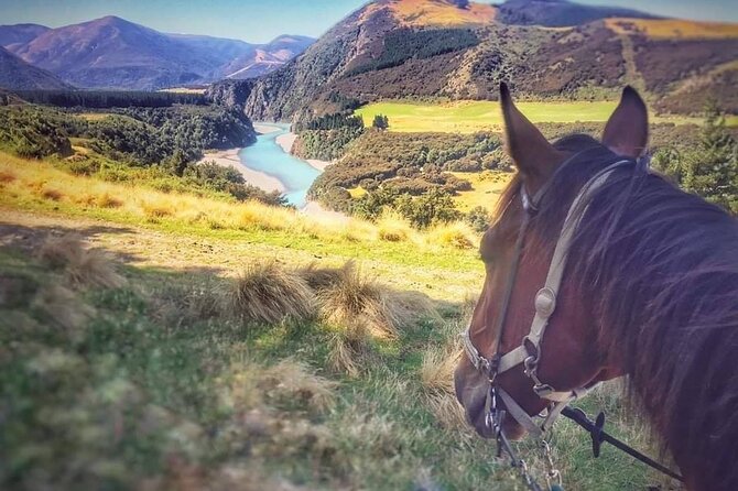 Rubicon Valley Horse Treks - 2 Hour River Trail Horse Trek - What to wear, bring, and know before you saddle up