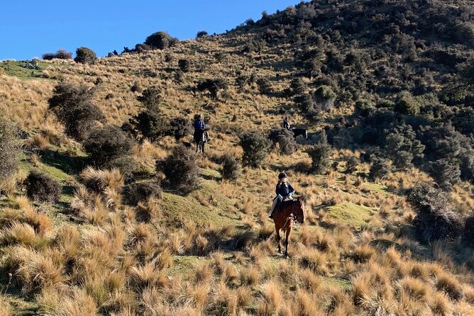 Rubicon Valley Horse Treks - 2 Hour River Trail Horse Trek - The 2-hour trail plan: valley riding, an Otarama viewpoint stop, then terraces back