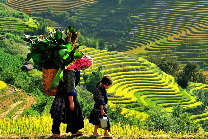 Sa Pa 2-Day Moderate Trek and Homestay Limousine Tour from Hanoi - Getting from Hanoi to Sapa without playing transport roulette