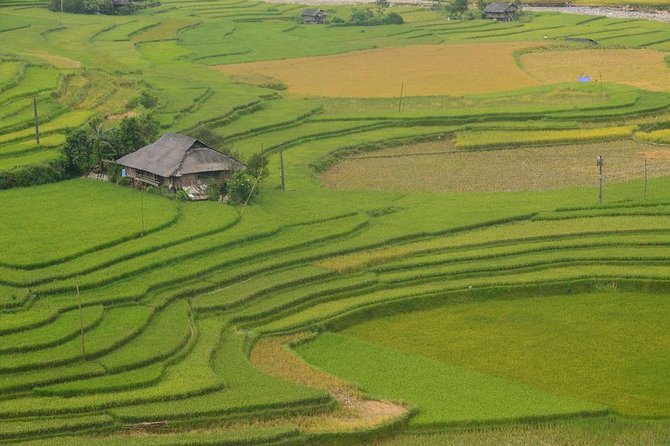 Sa Pa 2-Day Moderate Trek and Homestay Limousine Tour from Hanoi - Village time at Giang Ta Chai: finishing the loop with real local life
