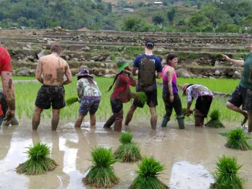 Sa Pa: 2-Day Trekking Trip with Ethnic Minority Homestay - Should you book the Sa Pa 2-day trek with a Dzay homestay?