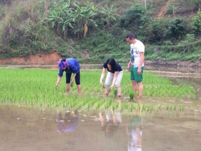 Sa Pa: 6-Hours Muong Hoa Valley Trek with Local Ethnic guide - The village route: Y Linh Ho to Lao Chai to Ta Van