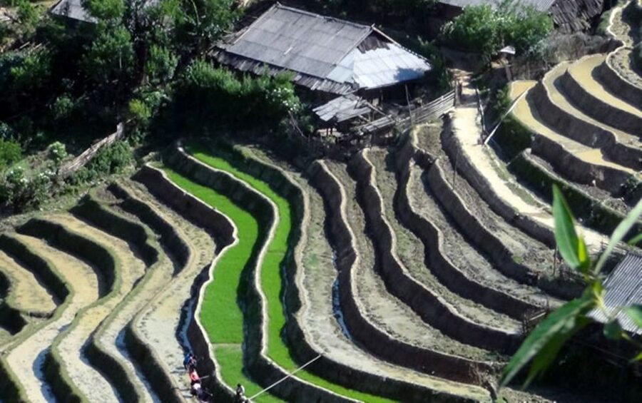 Sa Pa: 6-Hours Muong Hoa Valley Trek with Local Ethnic guide - Logistics that matter: pickup limits and the non-loop trek