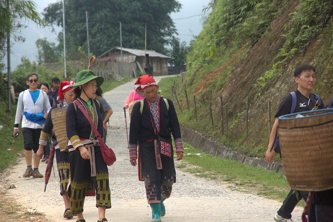 Sa Pa Full Day Trekking Tour - Getting to the trail: 8:00 pickup in Sapa, then a bus back after lunch