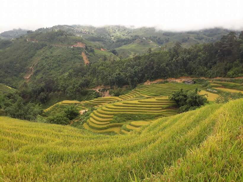 Sa Pa: Muong Hoa Valley Trek and Local Ethnic Villages - Key highlights you’ll feel right away
