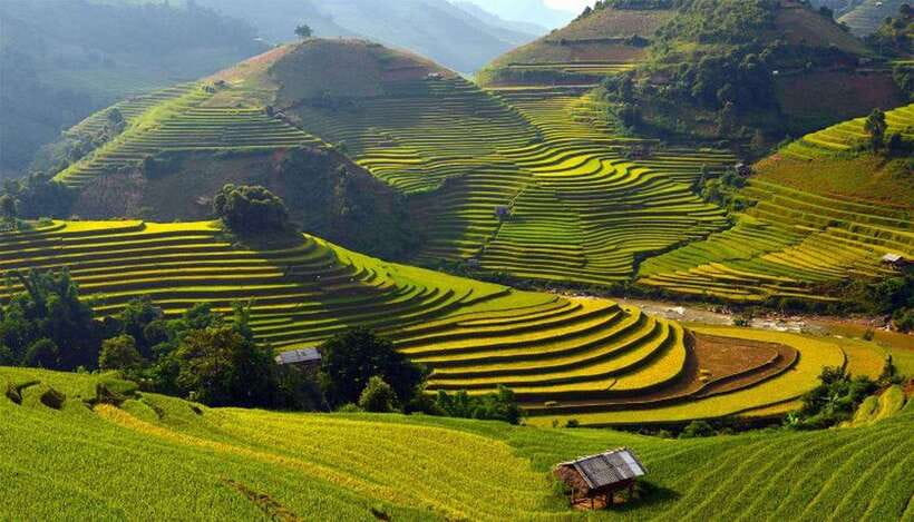Sa Pa: Muong Hoa Valley Trek and Local Ethnic Villages - Muong Hoa Valley: the Sa Pa day that actually feels local
