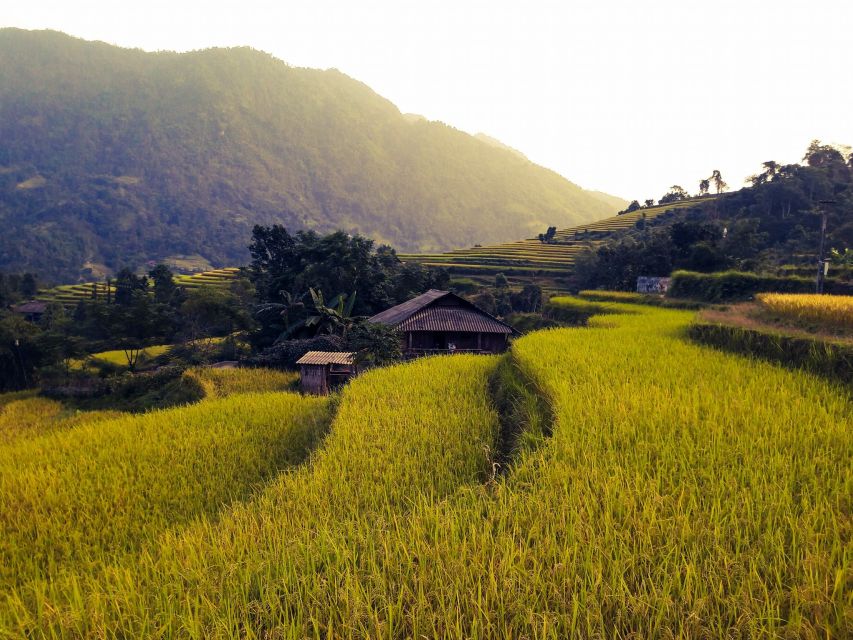 Sa Pa: Muong Hoa Valley Trek and Local Ethnic Villages - Ta Van Giay and the river route: the suspension bridge moment