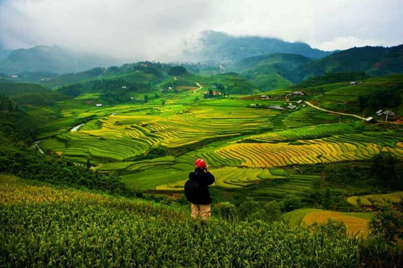 Sa Pa: Muong Hoa Valley Trek and Local Ethnic Villages - Bamboo forest to Giang Ta Chai (Red Dao): the part that tests your shoes