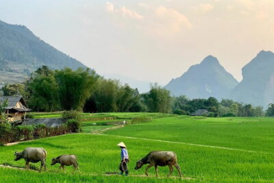 Sa Pa Trekking 2 Days 3 Nights Homestay by Night Train - Vega Travel in Hanoi: Luggage, Shower Time, and the 20:30 Transfer