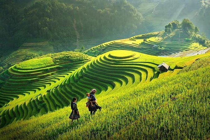 Sa Pa Trekking 2 Days 3 Nights Homestay by Night Train - Price and Logistics: Is $165 a Good Deal?