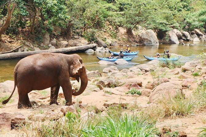 Safety whitewater rafting in Chiangmai by Khampan Rafting - Who This Rafting Trip Suits Best (and Who Might Want to Think Twice)