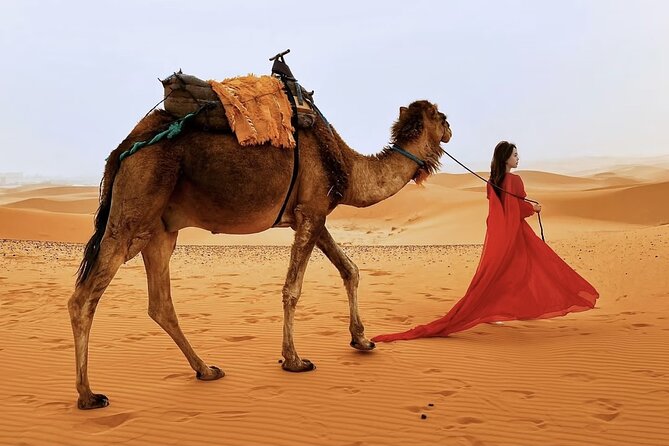 Sahara Magic: 3-Day Marrakesh to Merzouga Camel Trek & Sunset - Day 2: Todra Gorge, a Berber family stop, then Erg Chebbi camel trek