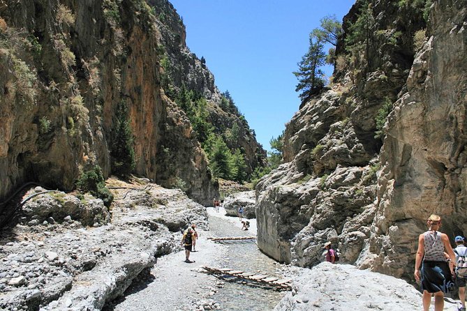Samaria Gorge Trek: Full-Day Excursion from Rethymno with Guide - Old Trees, Springs, and River Moments You’ll Actually Use