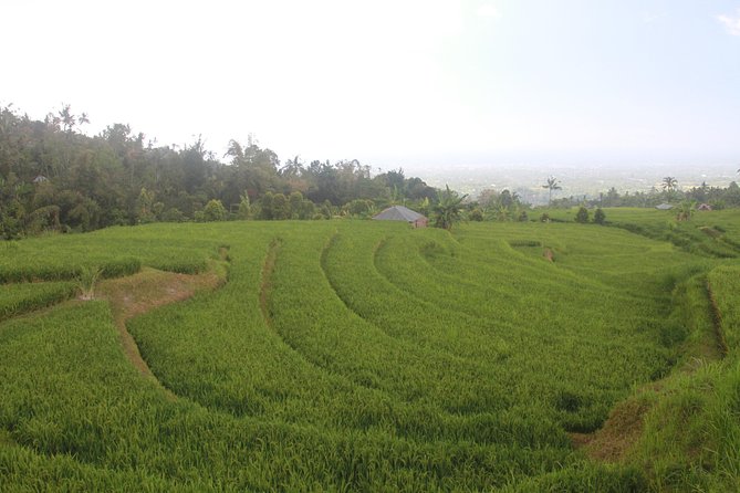 Sambangan Trekking, Sliding, Jumping in Scenic Waterfalls - Ubud Canyoning That’s More Than a Walk: Sambangan Secret Garden