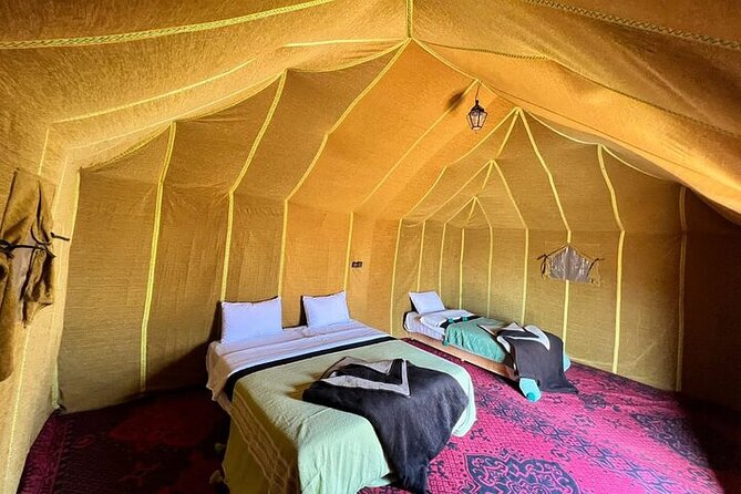 Sandboarding & Overnight in Merzouga Desert Camp Camel Trekking - Dinner under starlight: food, camp atmosphere, and what to expect