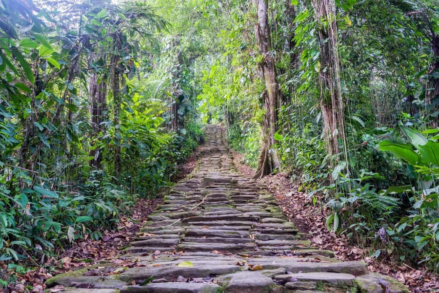 Santa Marta: Multi-Day Trek to The Lost City - Key points I’d bet on
