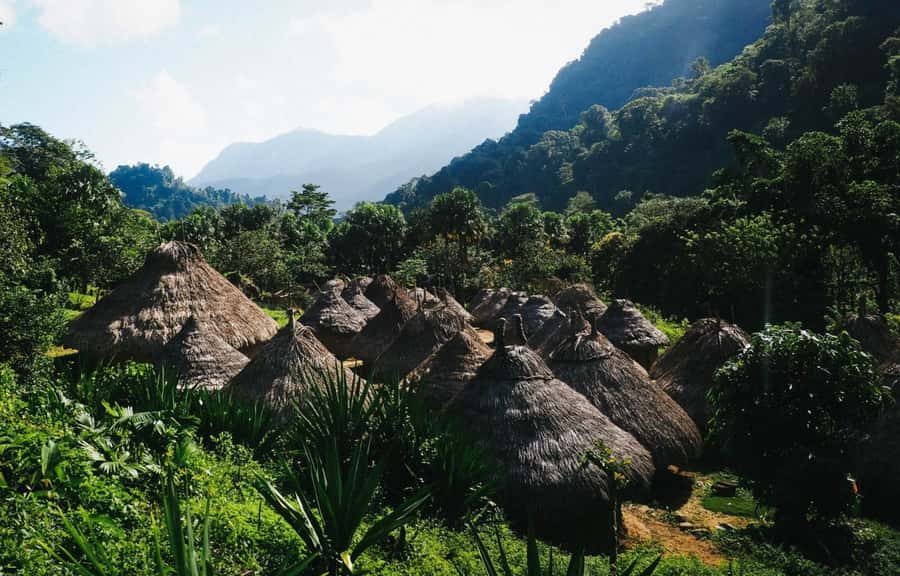 Santa Marta: Multi-Day Trek to The Lost City - Meals, water, and comfort: where good logistics really shows
