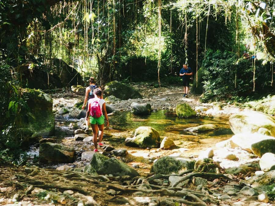 Santa Marta: Multi-Day Trek to The Lost City - Who’s leading you matters: guides, interpreters, and real moments