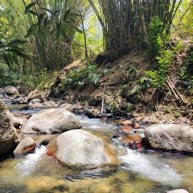 Santa Marta: Trekking in Minca Complete Waterfall Circuit - Safety, gear, and the small decisions that make the hike better
