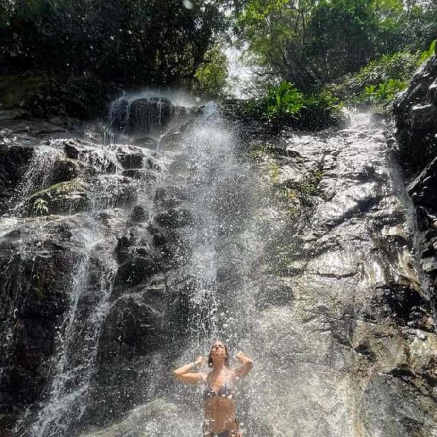 Santa Marta: Trekking in Minca Complete Waterfall Circuit - The Minca waterfall circuit’s big appeal: more than just walking