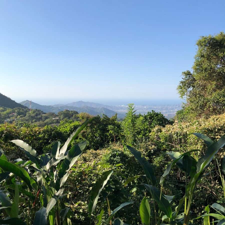 Santa Marta: Trekking in Minca Complete Waterfall Circuit - Marinka Waterfalls: longer time, more water reality