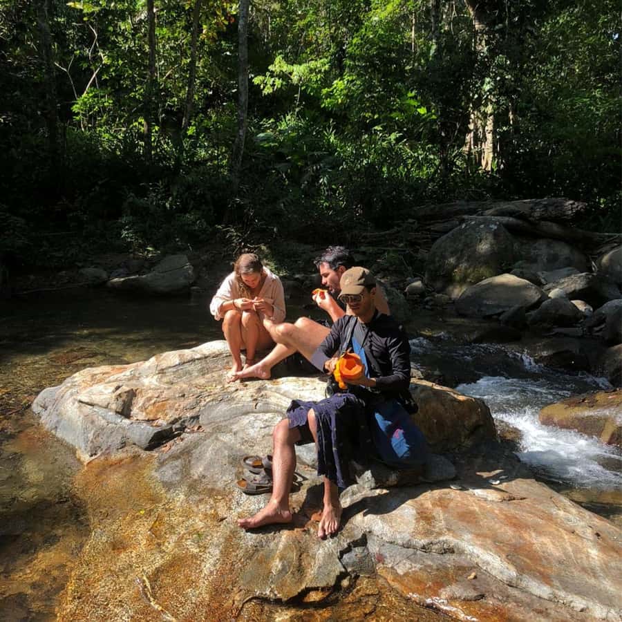 Santa Marta: Trekking in Minca Complete Waterfall Circuit - Viewpoints and the quiet payoff: why the circuit feels worth the effort