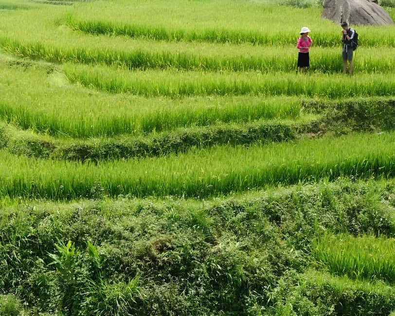 Sapa 1 Day Long Trek: Trek to Hau Thao and Sa Seng Villages - Who should book this trek, and who should skip