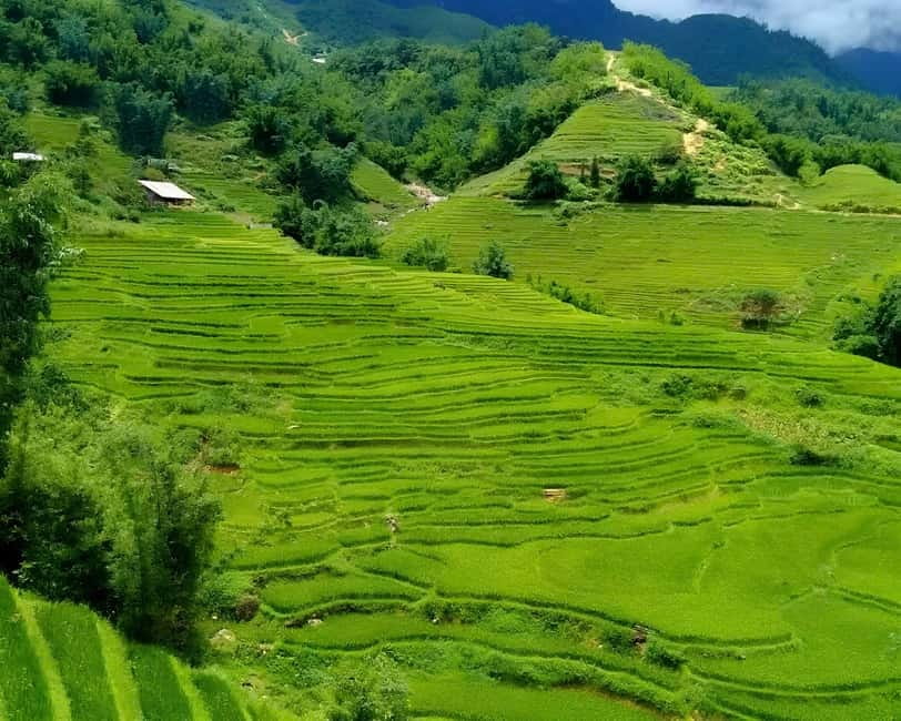 Sapa 1 Day Long Trek: Trek to Hau Thao and Sa Seng Villages - The best lunch stop in Sapa: family-run food, home-style pace