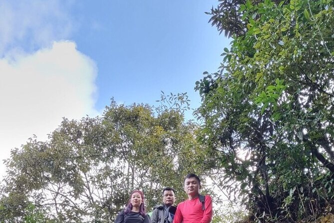 Sapa 1 day trek with local guide to the village by Comlam - 9am Pickup and the Walk Down Toward Muong Hoa Valley