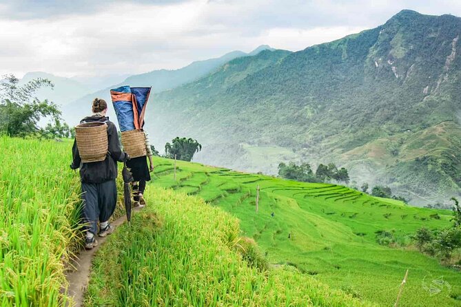 Sapa 1 Day Trekking Tours - The Ta Phin route and cave stop: a switch-up for variety