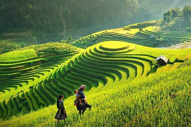 Sapa 1 Day Trekking Tours - What you get for $65.39: value beyond the sticker price