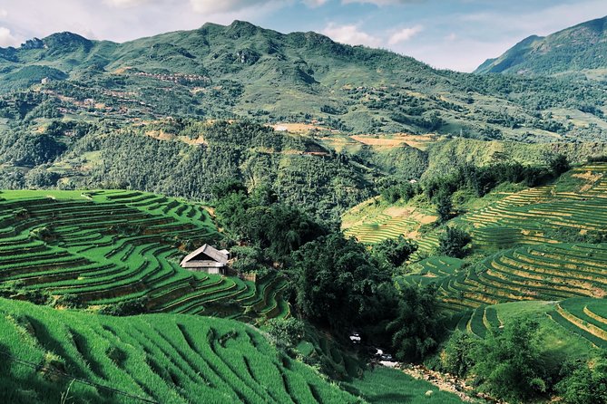 Sapa 2-Day Trek & Homestay in Ta Van Village – Be a Local - From Market to Meal: Cooking Dinner With Your Host Family