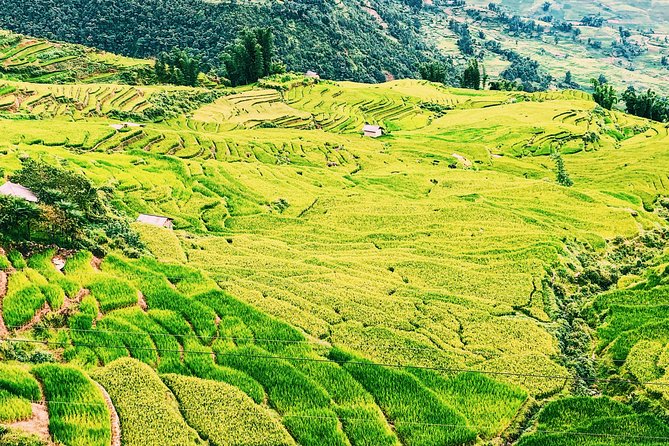 Sapa 2-Day Trek & Homestay in Ta Van Village – Be a Local - Price and Logistics: Is $45 Actually Good Value?