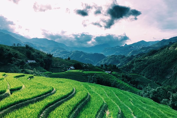 Sapa 2-Day Trek & Homestay in Ta Van Village – Be a Local - Should You Book This Sapa Local Life Trek?