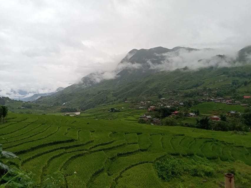 SAPA 2 Day trekking & 1 night Homestay with LOCAL PEOPLE - Day 2: Red Dao waterfall stop, bamboo forest walking, and more village steps