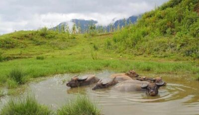 SAPA 2 Day trekking & 1 night Homestay with LOCAL PEOPLE - Day 1: Dragon Mountain views, Hang Da village, and a Hau thào homestay night
