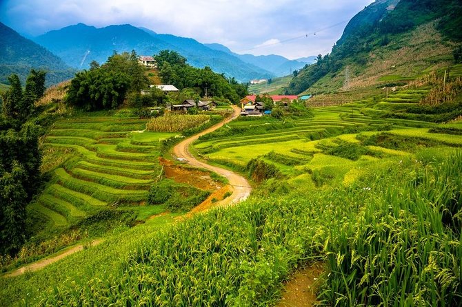 Sapa 2 days 1 night trekking Lao Chai Ta Van - Fansipan mountain by cable car - Hanoi to Sapa the easy way: sleeping bus + pickup