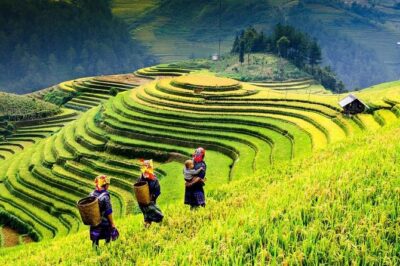 Sapa 2 days 1 night trekking Lao Chai Ta Van - Fansipan mountain by cable car - Y Linh Ho and Lao Chai: terrace views with ethnic-culture context