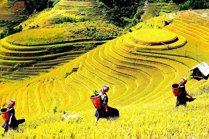 Sapa 2 Days Trek with 1 Night Homestay - Key highlights worth booking for