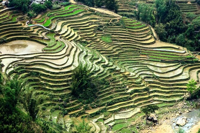 Sapa 2 Days Trek with 1 Night Homestay - Price and logistics: why the bundled transfers make it easier