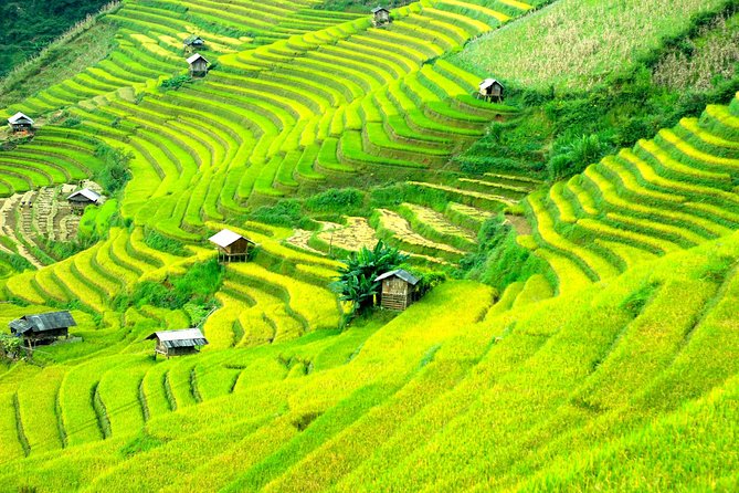 Sapa 2D1N Trekking to Giang Ta Chai Village from Hanoi by Bus - Day 2 Giang Ta Chai: bamboo forest photos, red Dzao views, and Giang Ta Chai Bridge