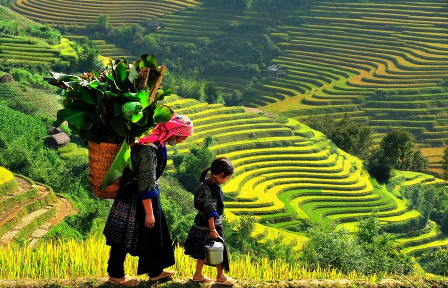 Sapa: 3-Day, 3-Night Trek and Hotel with Overnight Train - Key Things That Make This Sapa Trek Worth It