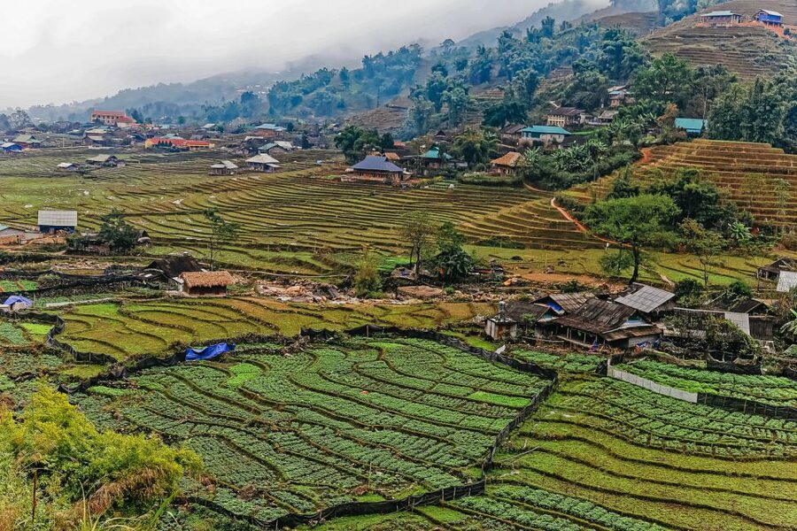 Sapa: 3-Day, 3-Night Trek and Hotel with Overnight Train - Day 1: Sapa Center to Sin Chai Village (Black H’mong) and a Cozy Night in Town