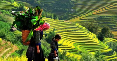 Sapa: 3-Day, 3-Night Trek and Hotel with Overnight Train - Day 0: Hanoi to Lao Cai on the Overnight Train (Set Yourself Up for a Smooth Day 1)