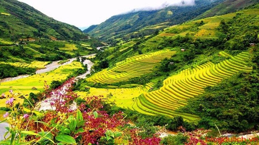 Sapa: 3-Day, 3-Night Trek and Hotel with Overnight Train - Day 2: Muong Hoa Valley Trek to Y Linh Ho, Lao Chai, and Ta Van (Zay Homestay)