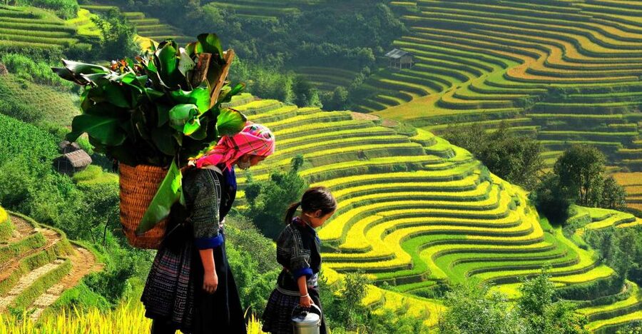 Sapa: 3-Day, 3-Night Trek and Hotel with Overnight Train - Day 0: Hanoi to Lao Cai on the Overnight Train (Set Yourself Up for a Smooth Day 1)